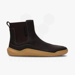 Vivobarefoot Gobi Chelsea Lifestyle Ayakkabı Kadın Siyah | TR153PV