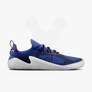 Vivobarefoot Motus Strength Yol Koşu Ayakkabısı Erkek Mavi Lacivert Turuncu | TR397FU