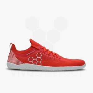 Vivobarefoot Primus Lite Knit Antrenman Ayakkabısı Erkek Kırmızı | TR340KW