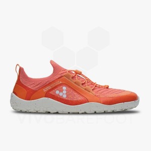 Vivobarefoot Primus Yürüyüş Knit FG Yürüyüş Ayakkabısı Erkek Kırmızı | TR431XG