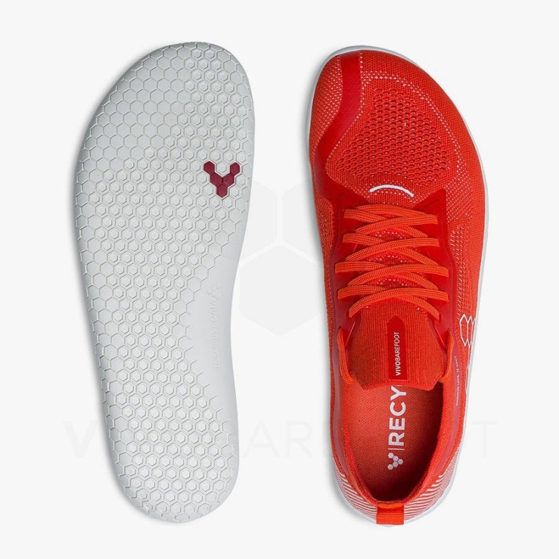 Vivobarefoot Primus Lite Knit Antrenman Ayakkabısı Kadın Kırmızı | TR182MM