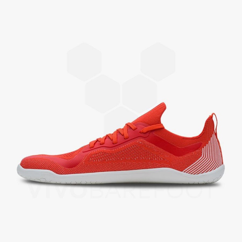 Vivobarefoot Primus Lite Knit Antrenman Ayakkabısı Kadın Kırmızı | TR182MM