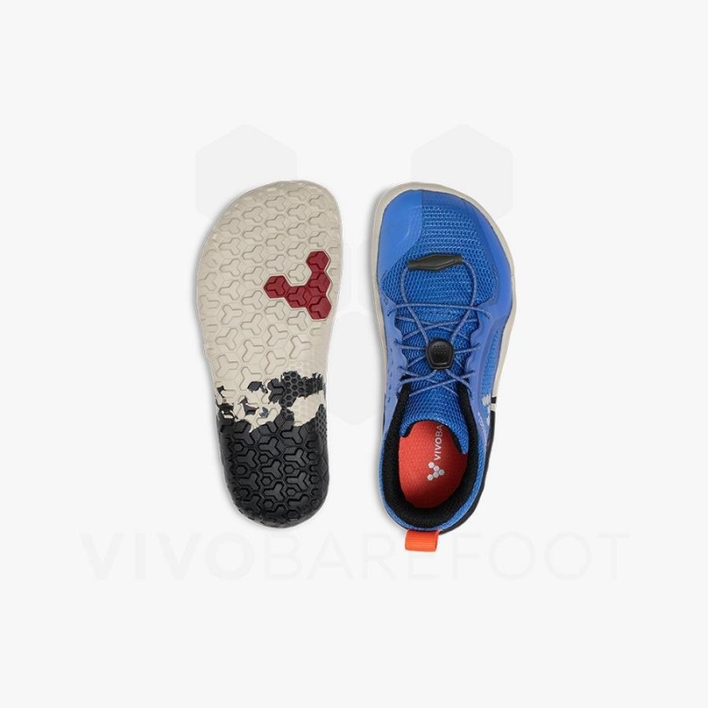 Vivobarefoot Primus Yürüyüş II FG Preschool Ayakkabı Çocuk Mavi | TR088CP